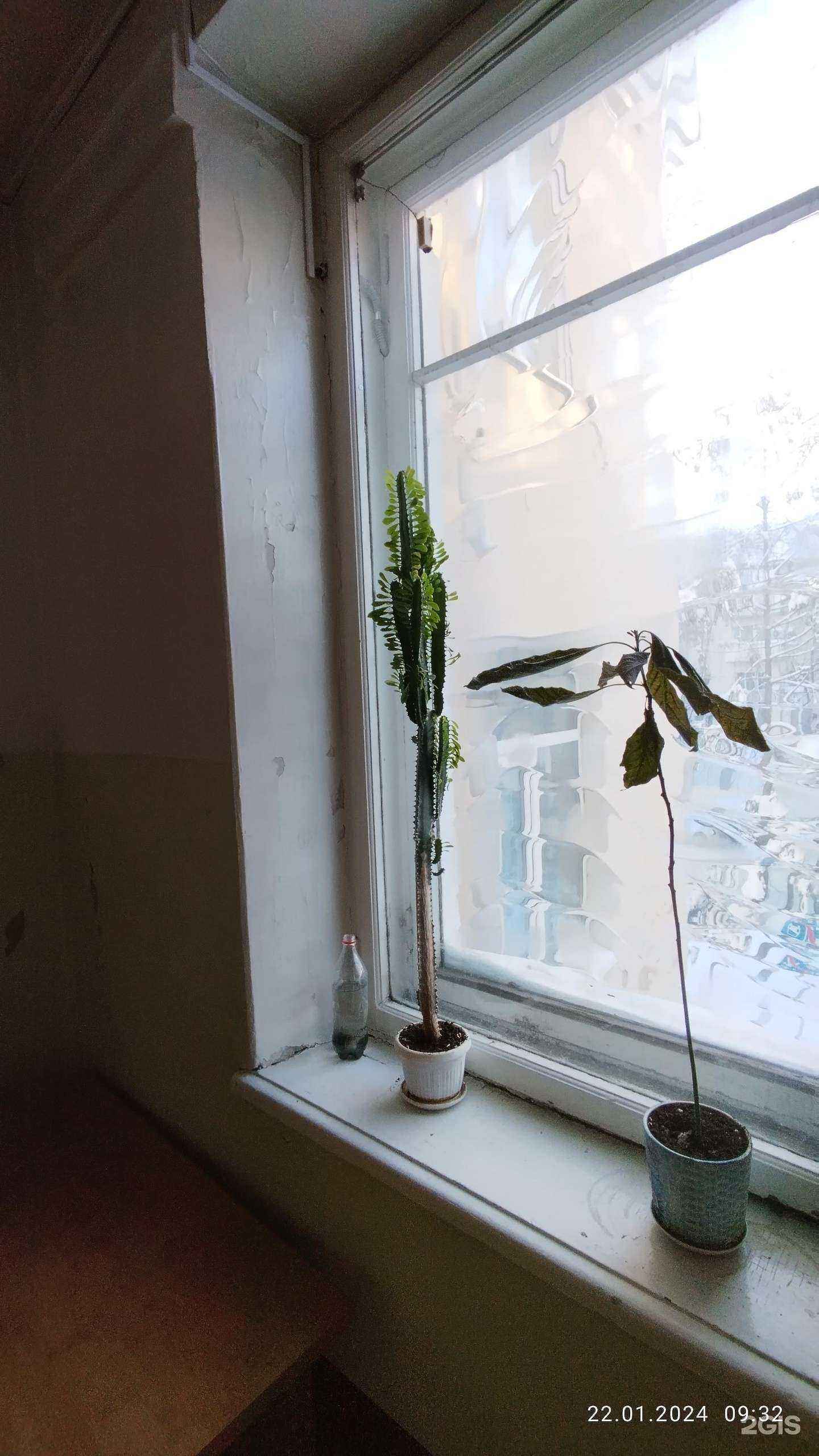 Отзывы на компанию Цифровой Бухгалтер в Йошкар-Оле c фото - фотография 2 из 2