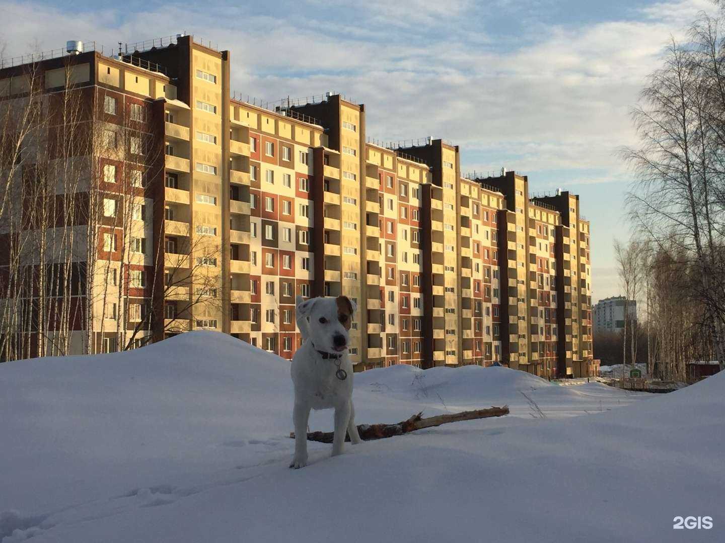 Отзывы на компанию Лямурр в Новосибирске c фото - фотография 2 из 2
