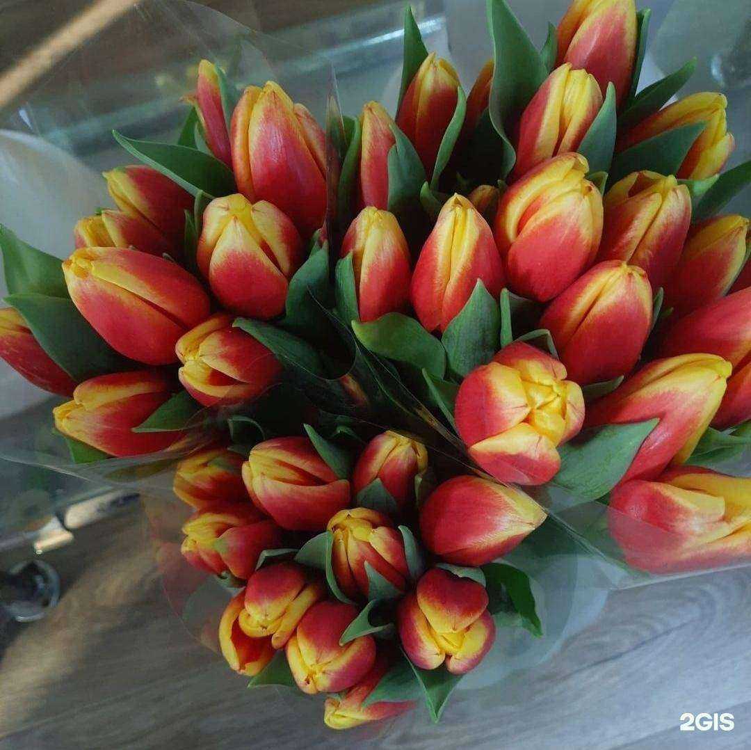 Отзывы на компанию Орхидея в Комсомольске-на-Амуре c фото