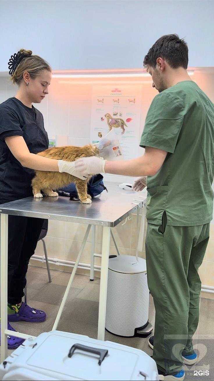 Отзывы на компанию Два хвоста в Серпухове c фото