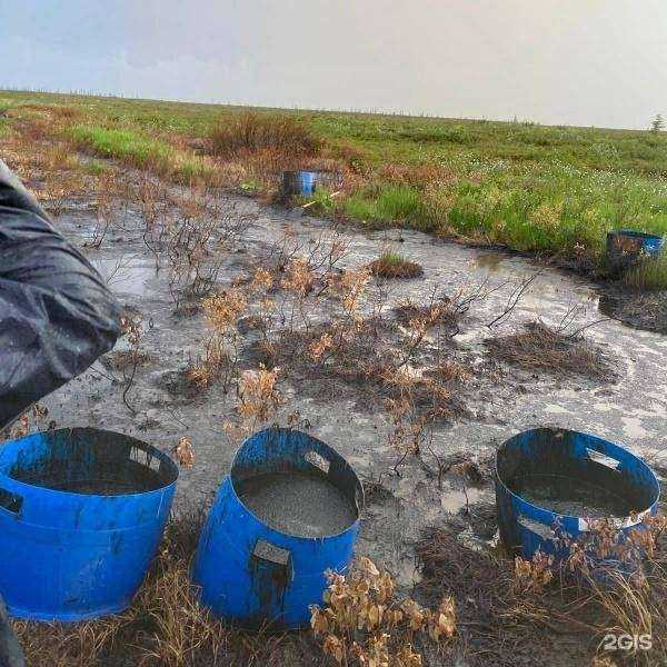 Отзывы на компанию Накануне.ru в Екатеринбурге c фото