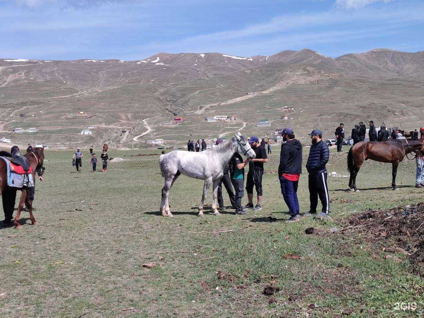 Отзывы на компанию Serdce vsadnika в г. Хасавюрт c фото