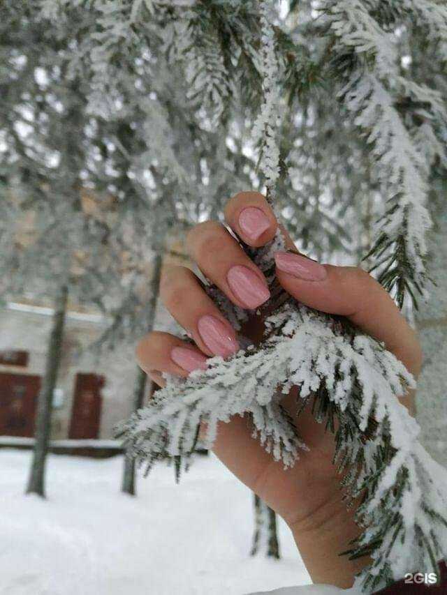 Отзывы на компанию Моника в г. Сыктывкар c фото