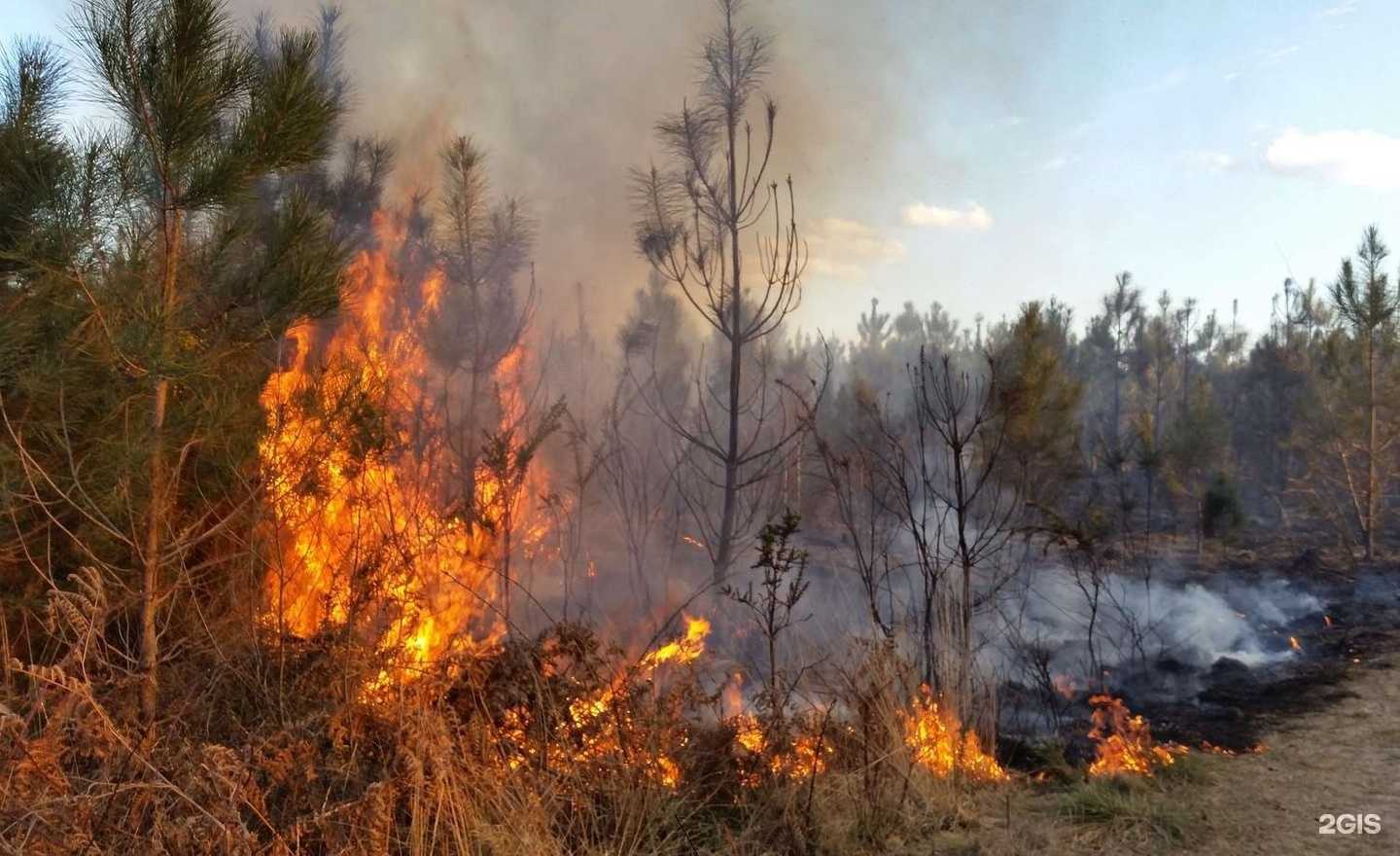 Отзывы на компанию Детская музыкальная школа г. Павлово в г. Павлово c фото