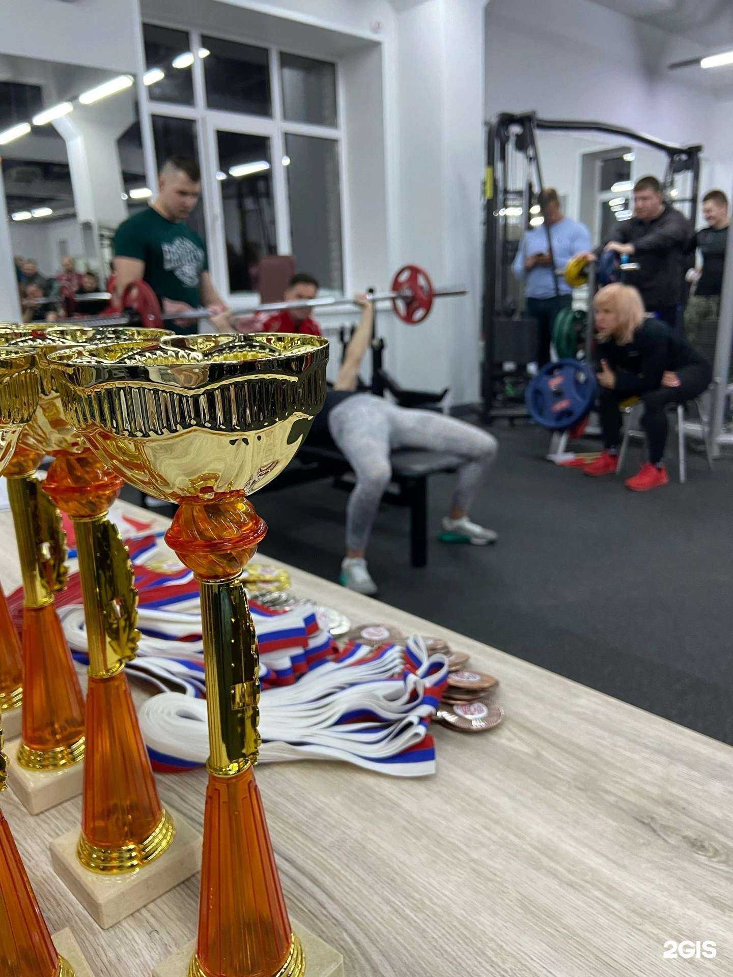 Отзывы на компанию Mustang в г. Чебоксары c фото