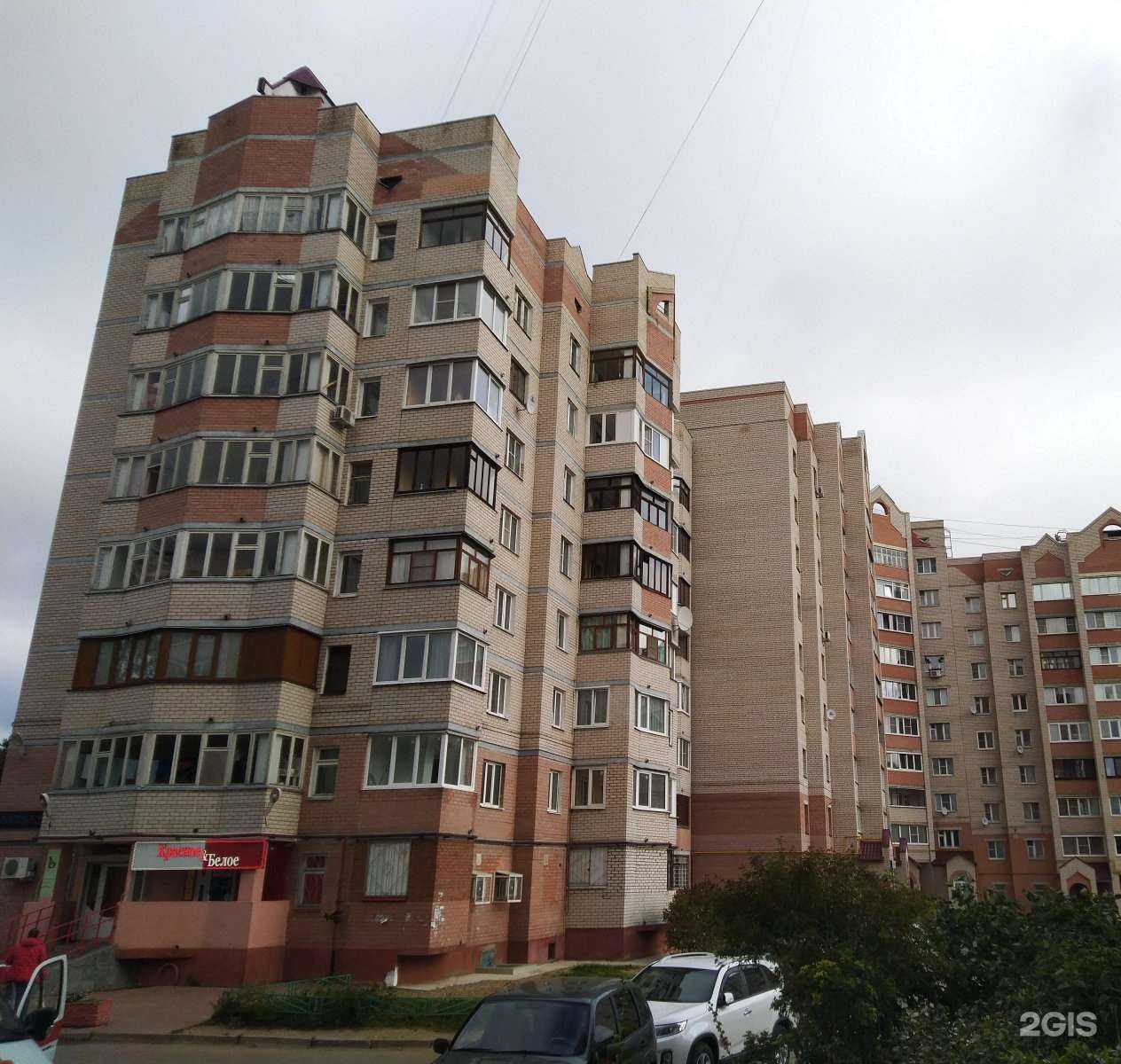 Отзывы на компанию Новая стоматология в Костроме c фото - фотография 2 из 2