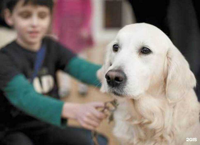 Отзывы на компанию Открытые Сердца в Петрозаводске c фото