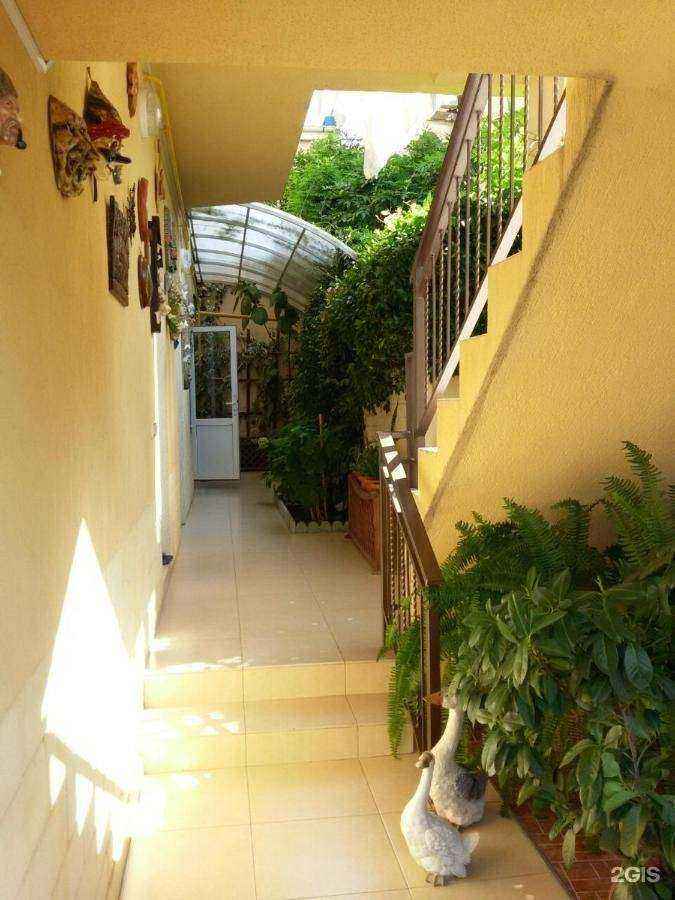 Отзывы на компанию Адлерок в Сочи c фото