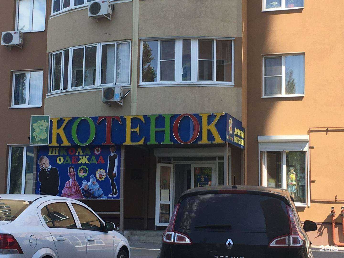 Отзывы на компанию Котёнок в Воронеже c фото