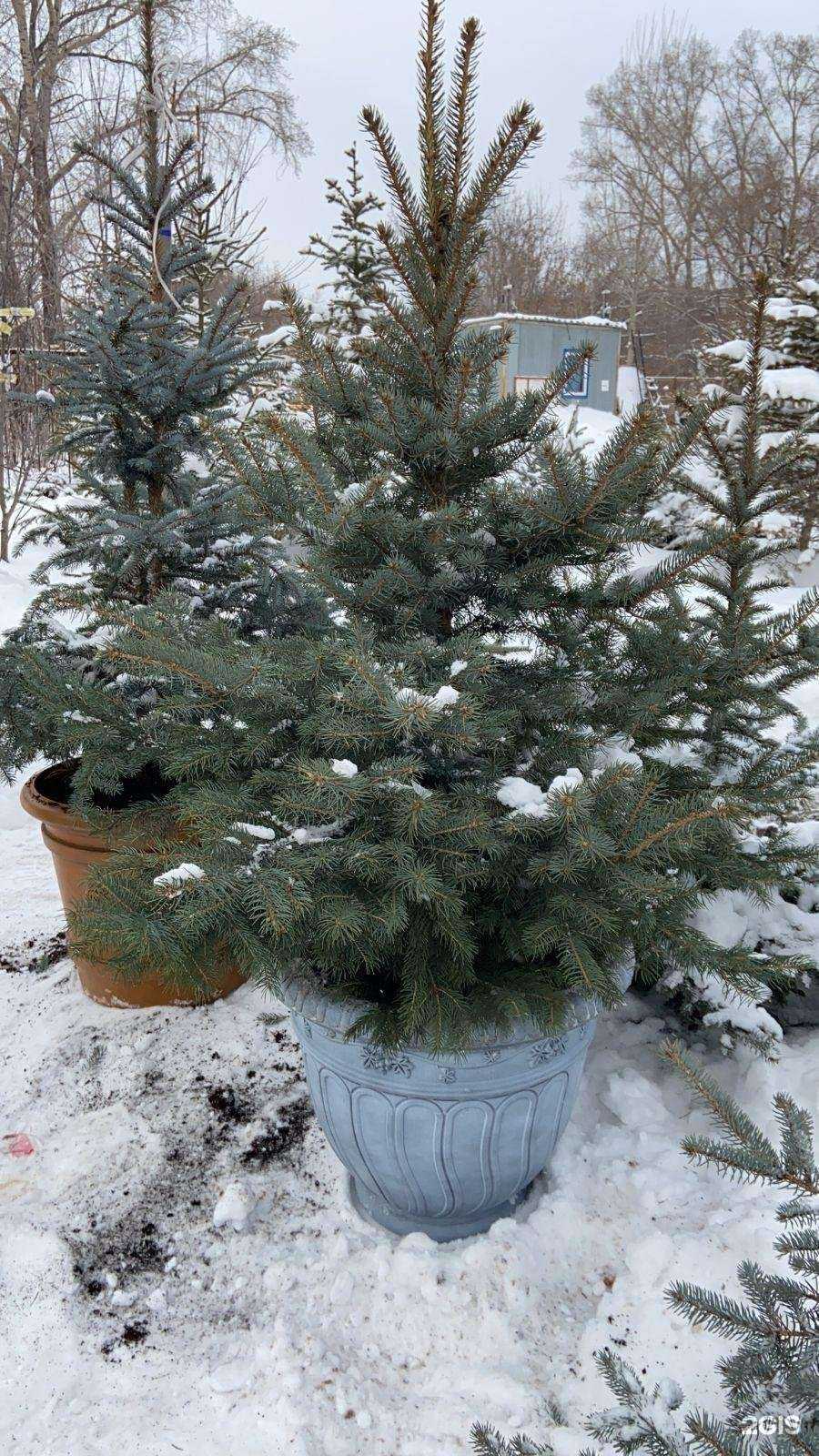 Отзывы на компанию Астра М в Новосибирске c фото