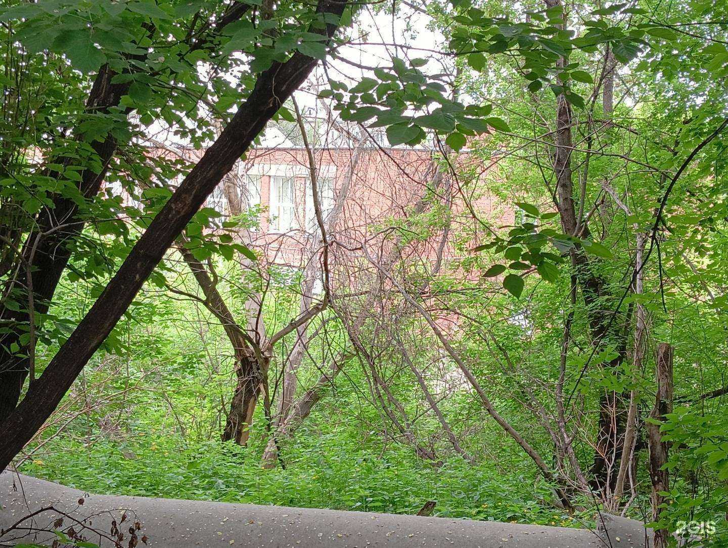 Отзывы на компанию Sv studio в Новокузнецке c фото - фотография 2 из 2