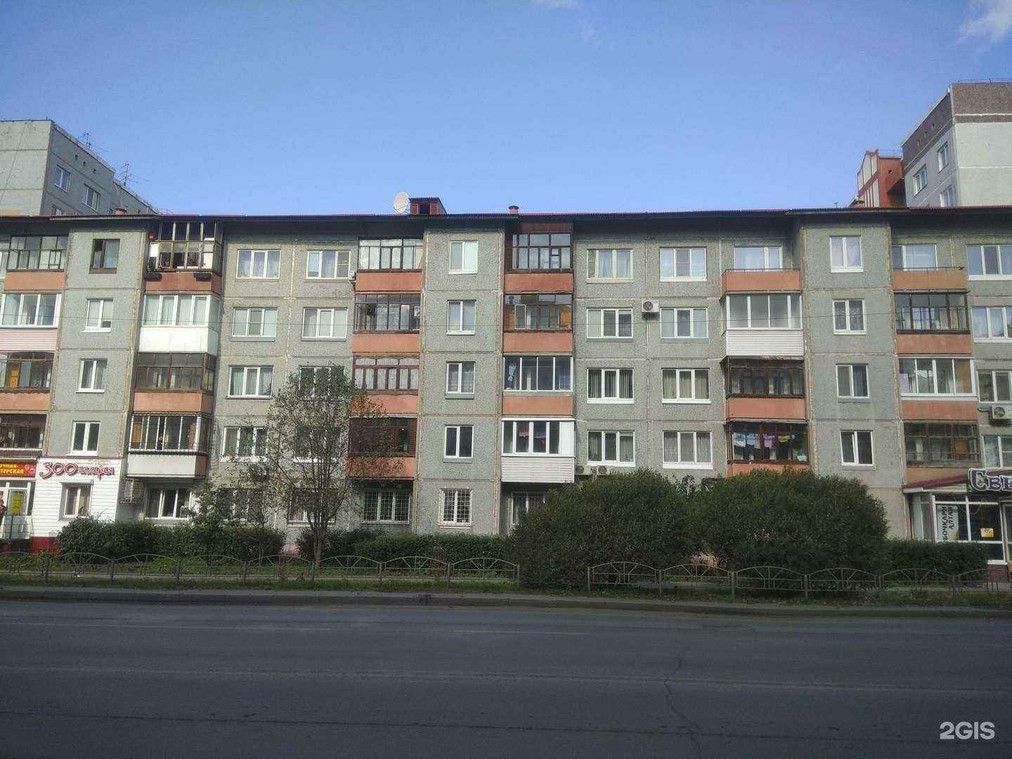 Отзывы на компанию Зоогалерея в Омске c фото - фотография 2 из 2