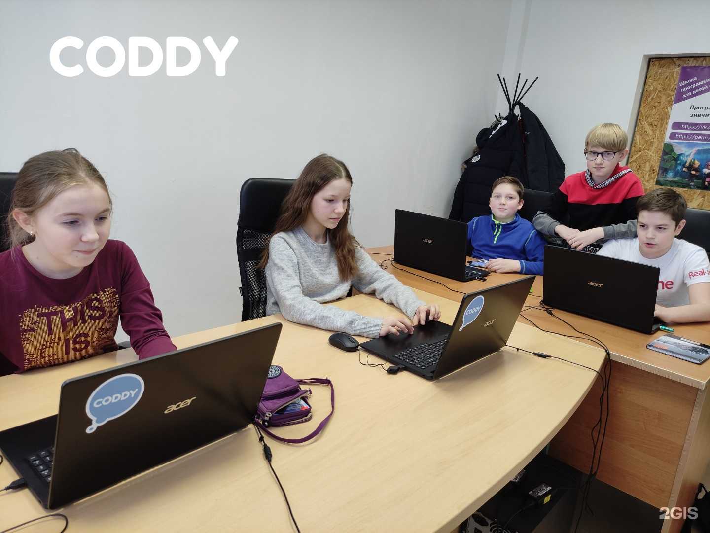 Отзывы на компанию Coddy в Перми c фото