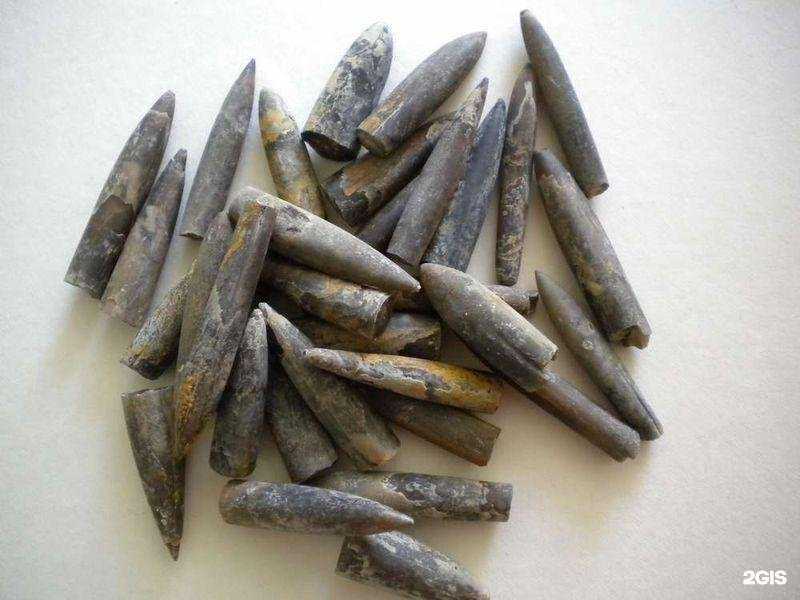 Отзывы на компанию Здоровье Алтая в г. Ростов-на-Дону c фото