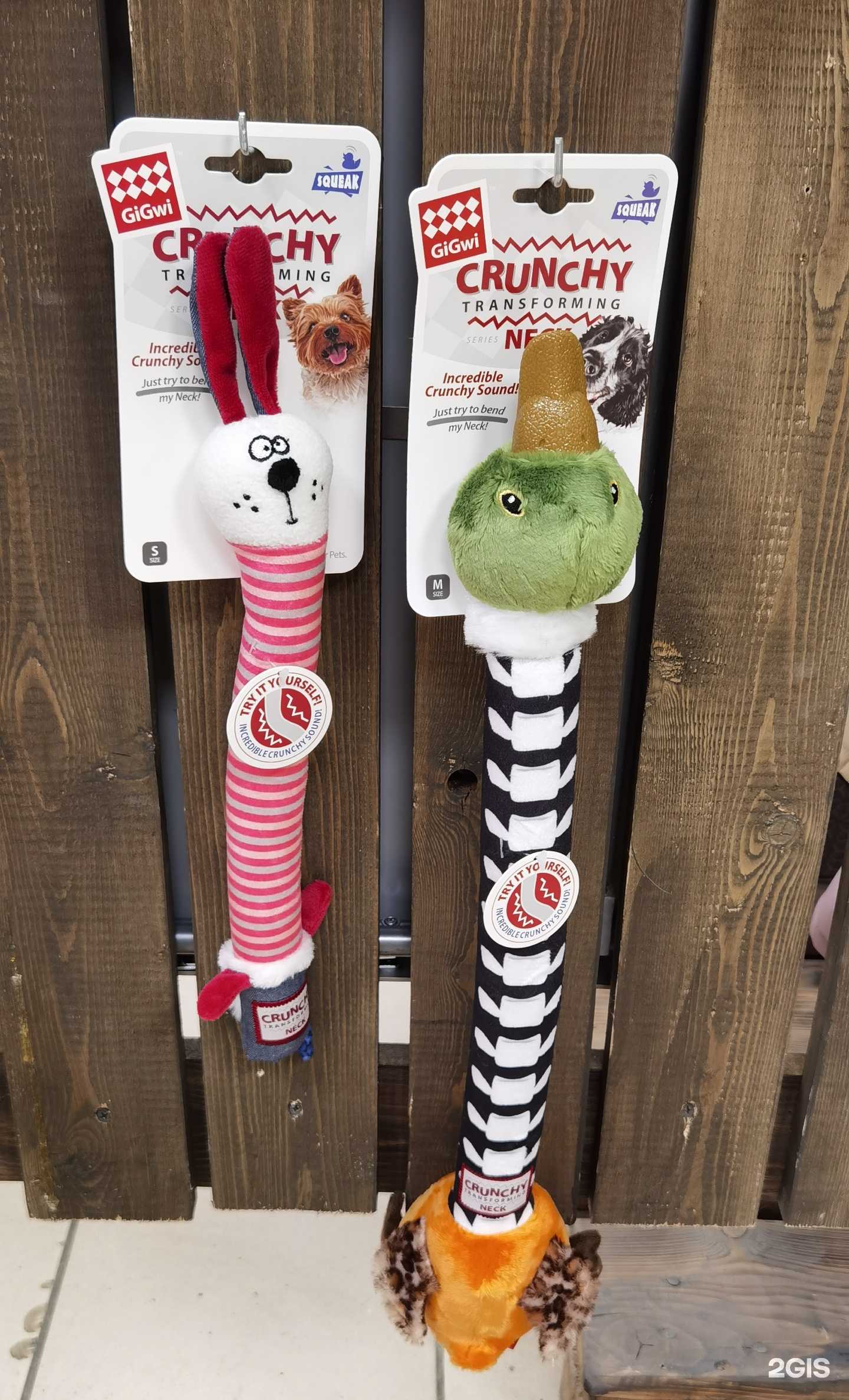 Отзывы на компанию Zooroom в г. Красноярск c фото