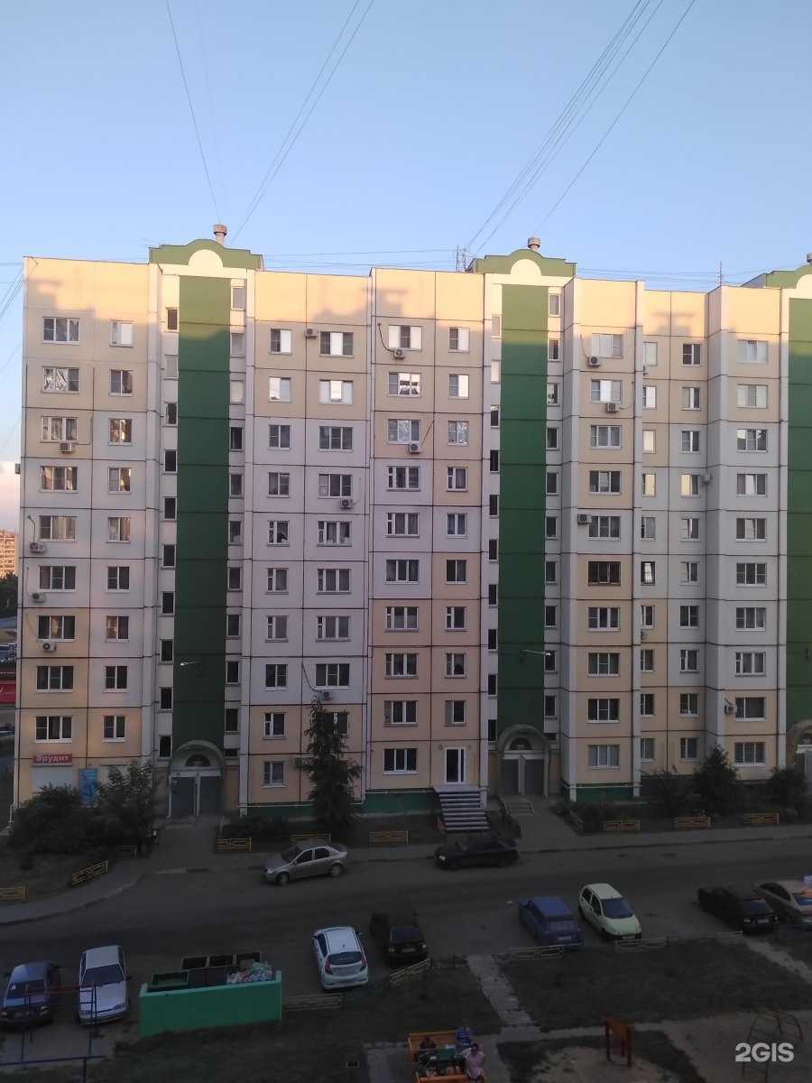 Отзывы на компанию Эрудит в Воронеже c фото - фотография 2 из 2