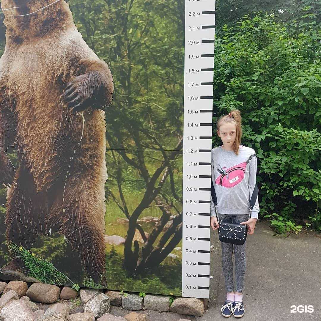 Отзывы на компанию ProRepetitor в Калининграде c фото