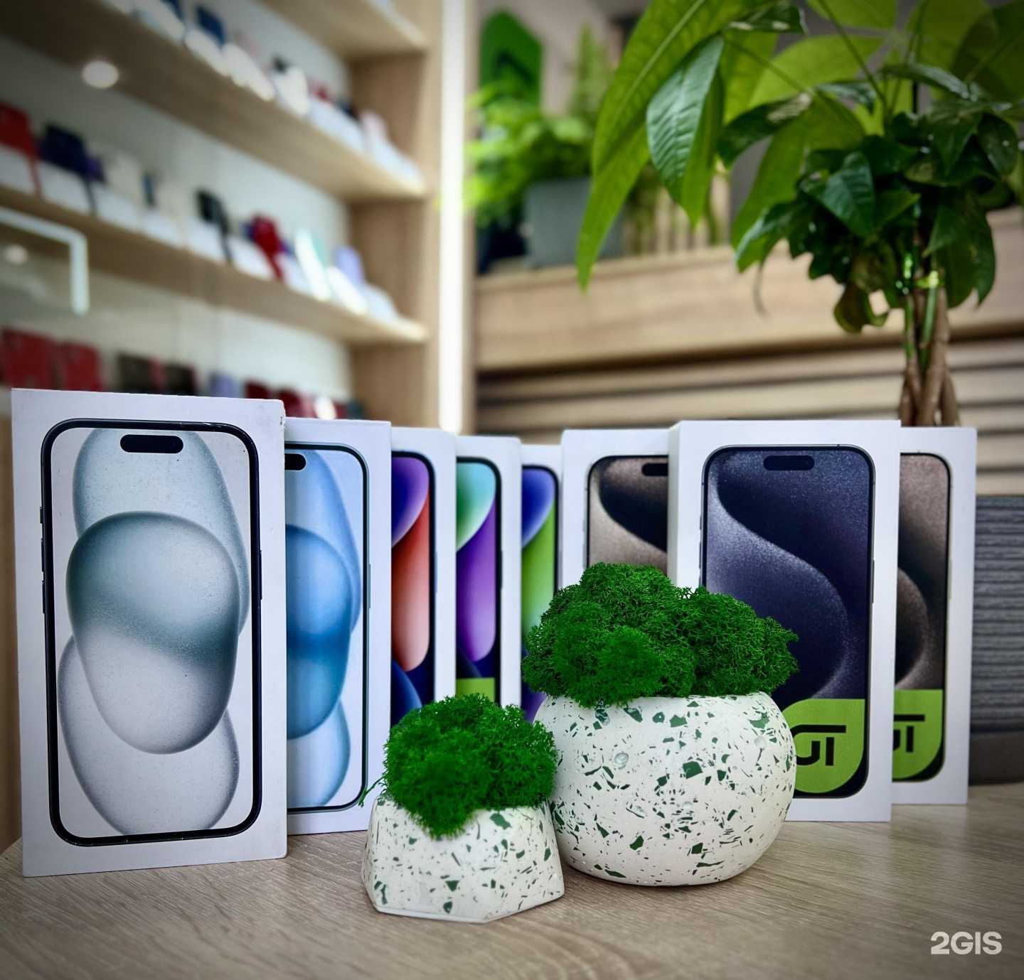 Отзывы на компанию Greentek в Липецке c фото