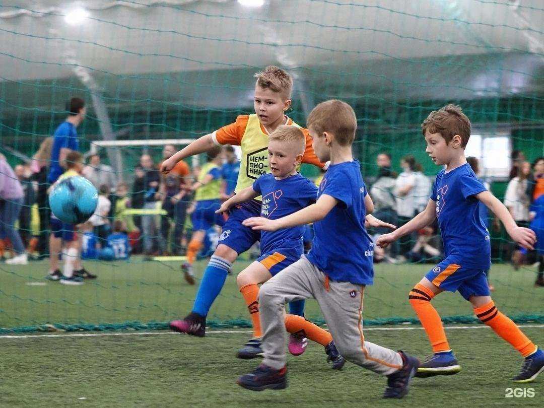 Отзывы на компанию Чемпионика в Калининграде c фото