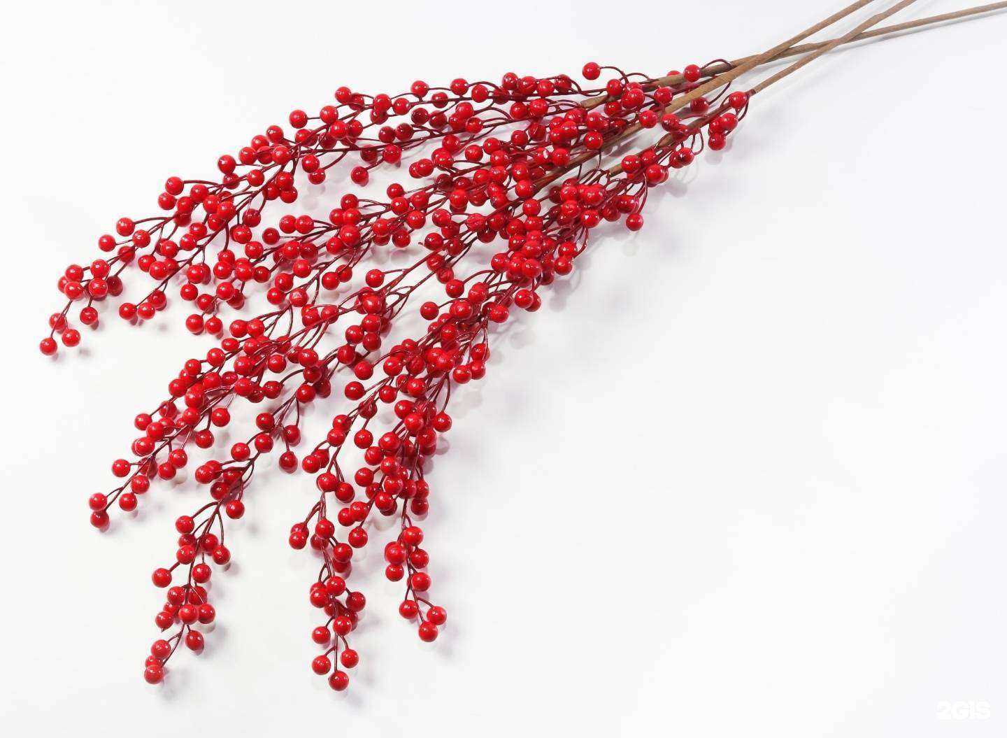 Отзывы на компанию Kalina в Красноярске c фото