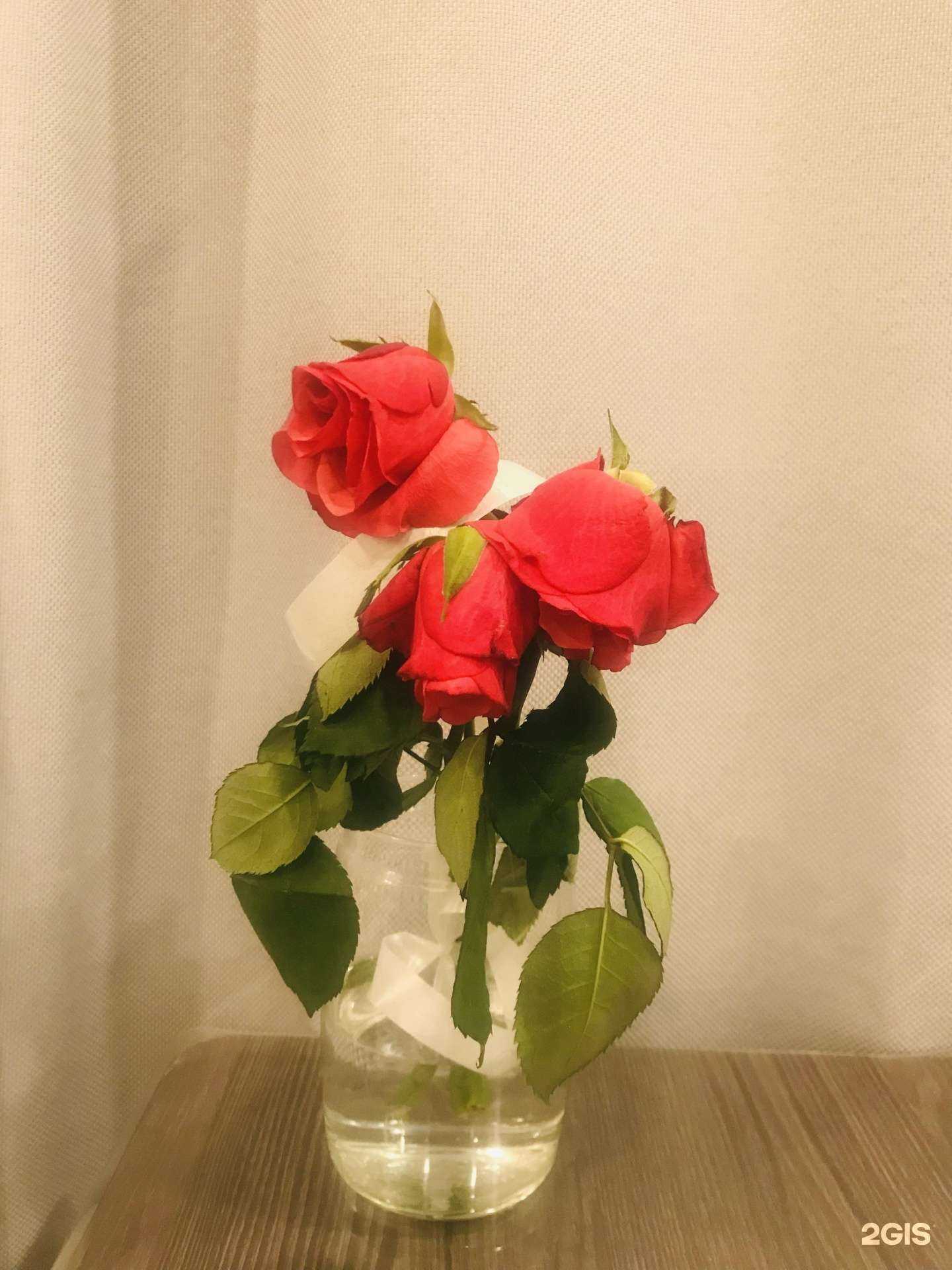 Отзывы на компанию Аленький Цветочек в Брянске c фото