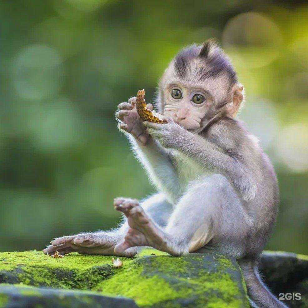 Отзывы на компанию Слетать.ру в Ефремове c фото