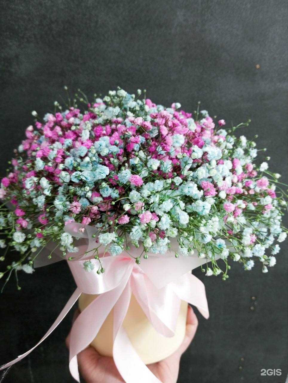 Отзывы на компанию Сияние Природы в Нижнем Новгороде c фото