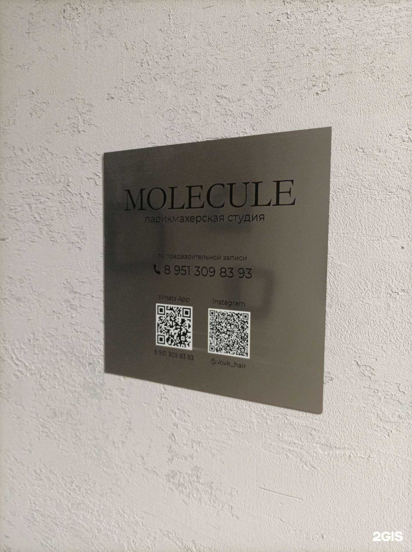 Отзывы на компанию Molecule в Липецке c фото