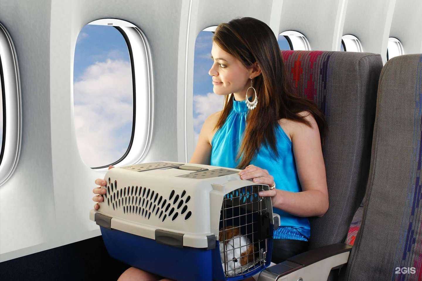 Отзывы на компанию Вет парк в г. Одинцово c фото