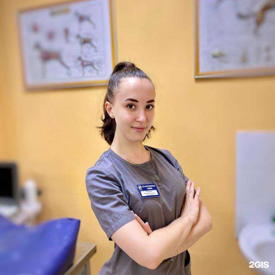 Отзывы на компанию ПроВет в г. Красноярск c фото