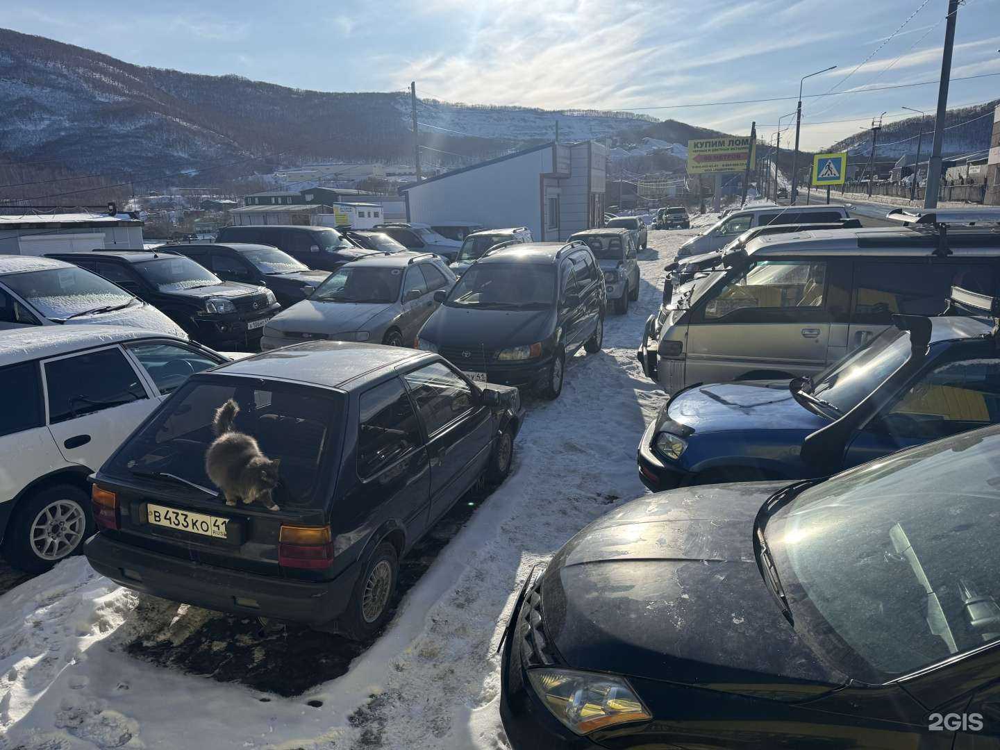 Отзывы на компанию Компания по автовыкупу и обмену автомобилей с пробегом в г. Петропавловск-Камчатский c фото