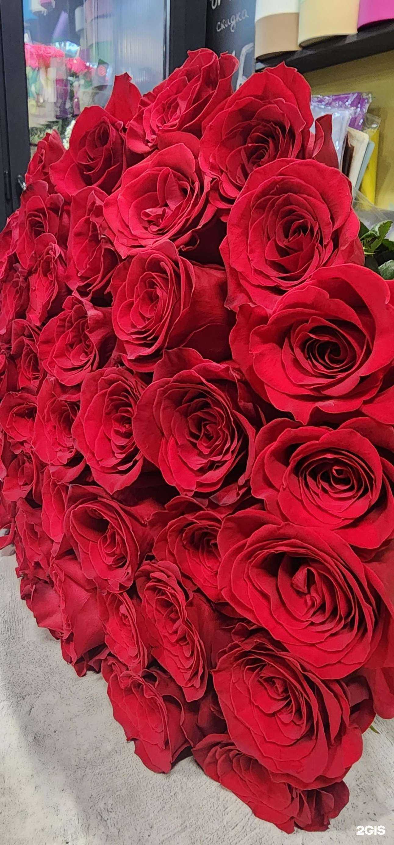 Отзывы на компанию Алая роза в Новороссийске c фото