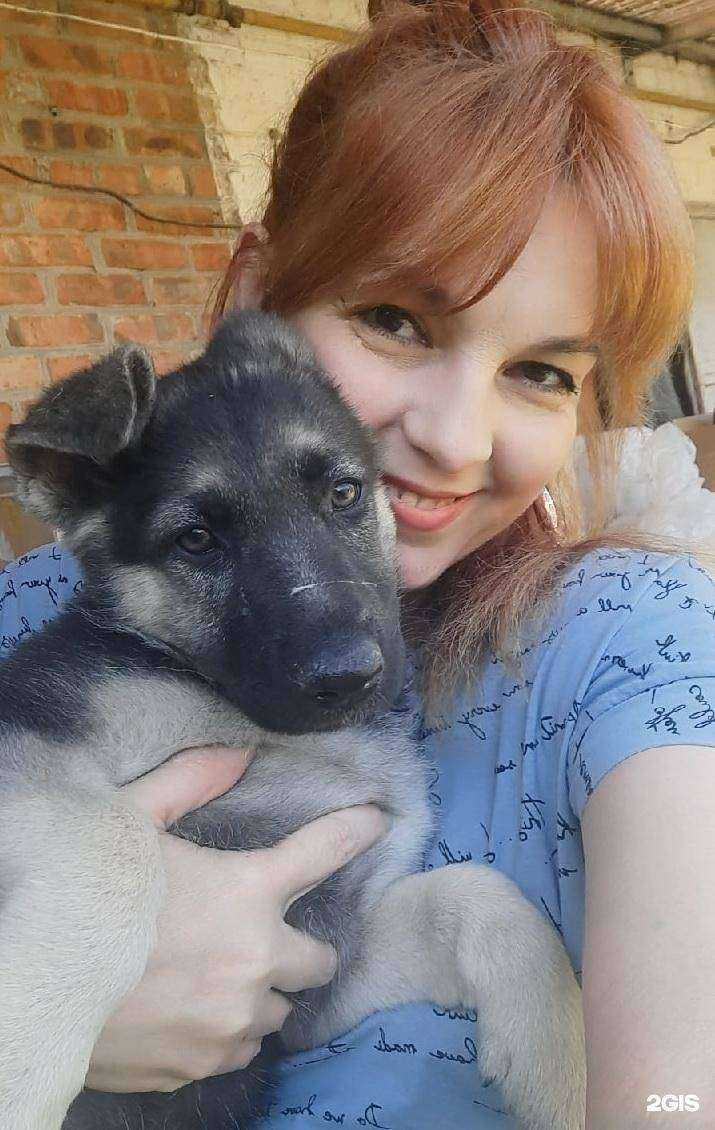 Отзывы на компанию Скорая ветеринарная помощь в г. Ростов-на-Дону c фото