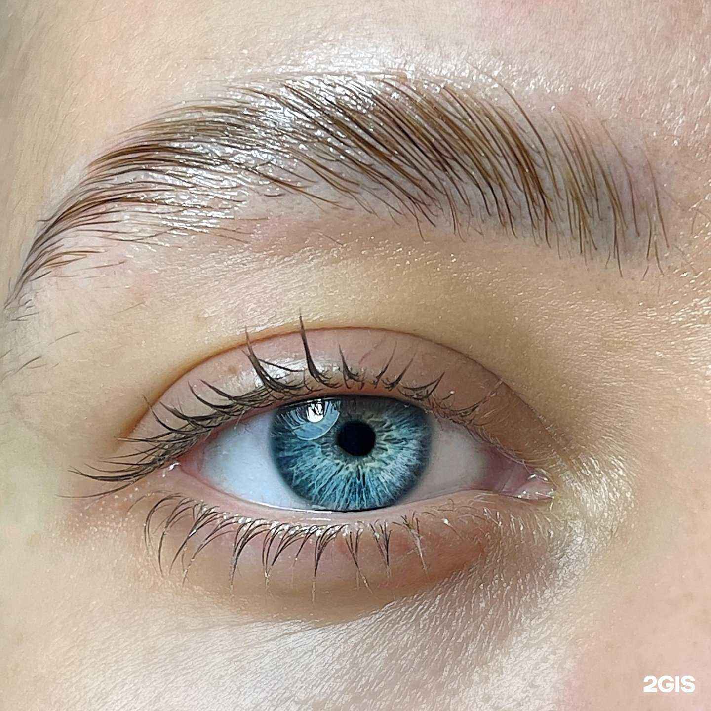 Отзывы на компанию Di`fene в Воронеже c фото