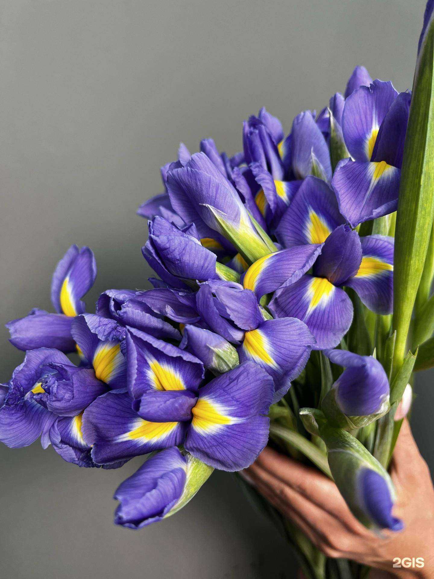 Отзывы на компанию Цветочная лавка в г. Пермь c фото