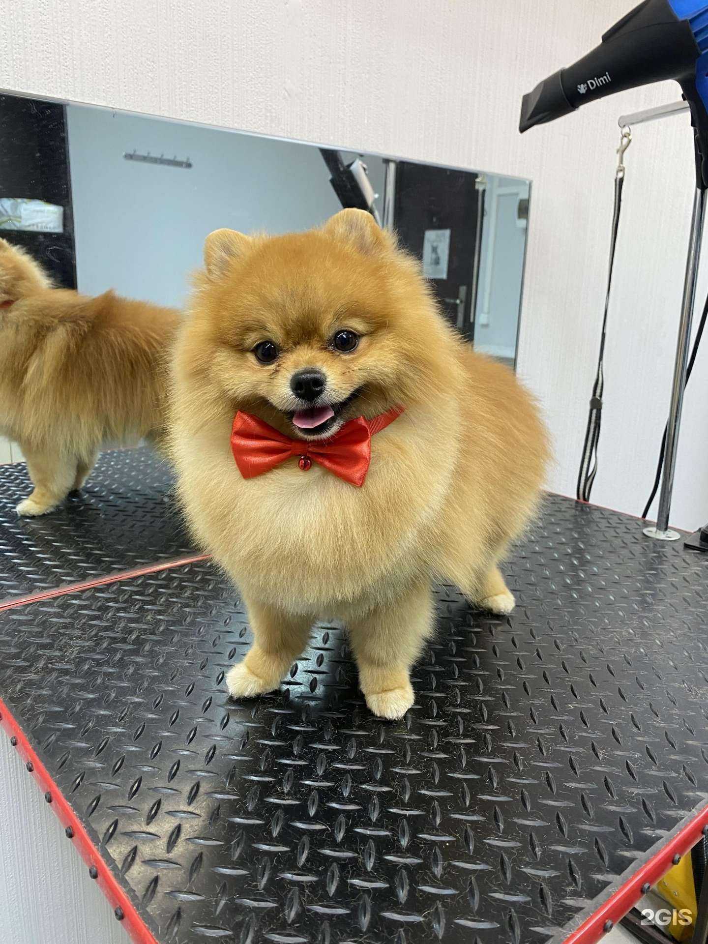 Отзывы на компанию Четыре с хвостиком в г. Краснодар c фото