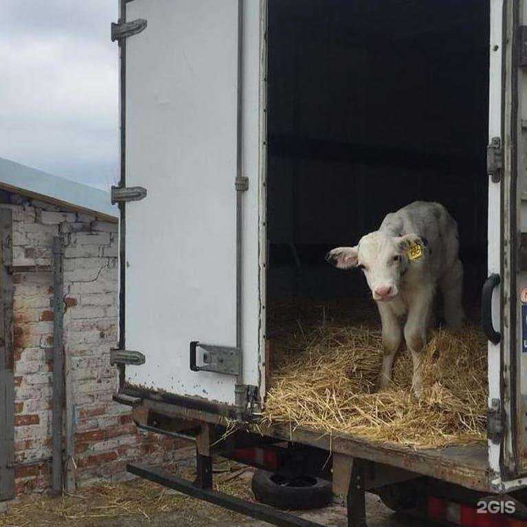 Отзывы на компанию L.T.S. Express в г. Аксай c фото