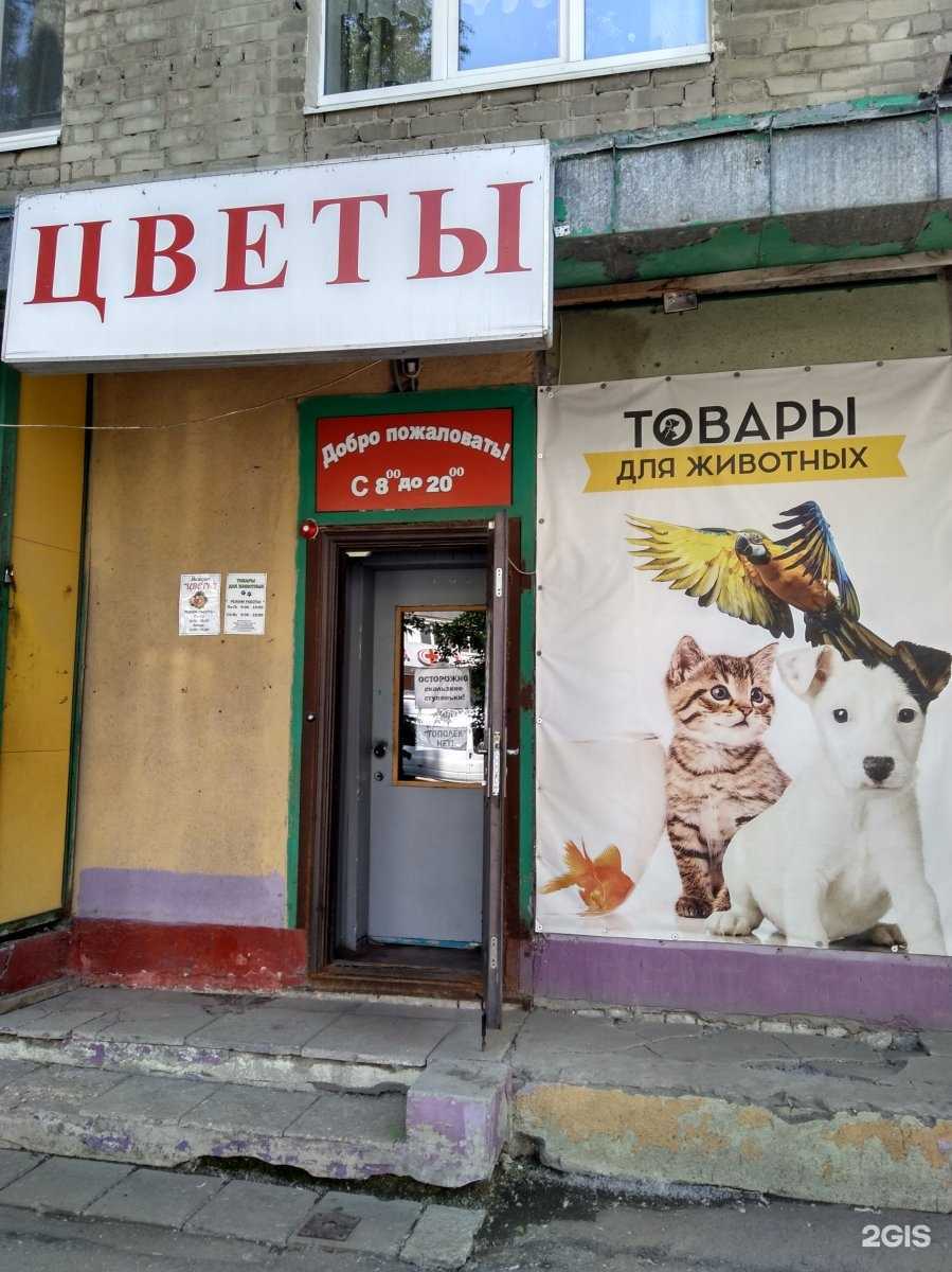 Отзывы на компанию Салон цветов в Саратове c фото