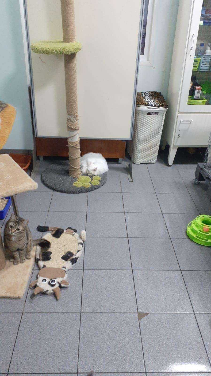 Отзывы на компанию Зоо-губерния в Самаре c фото