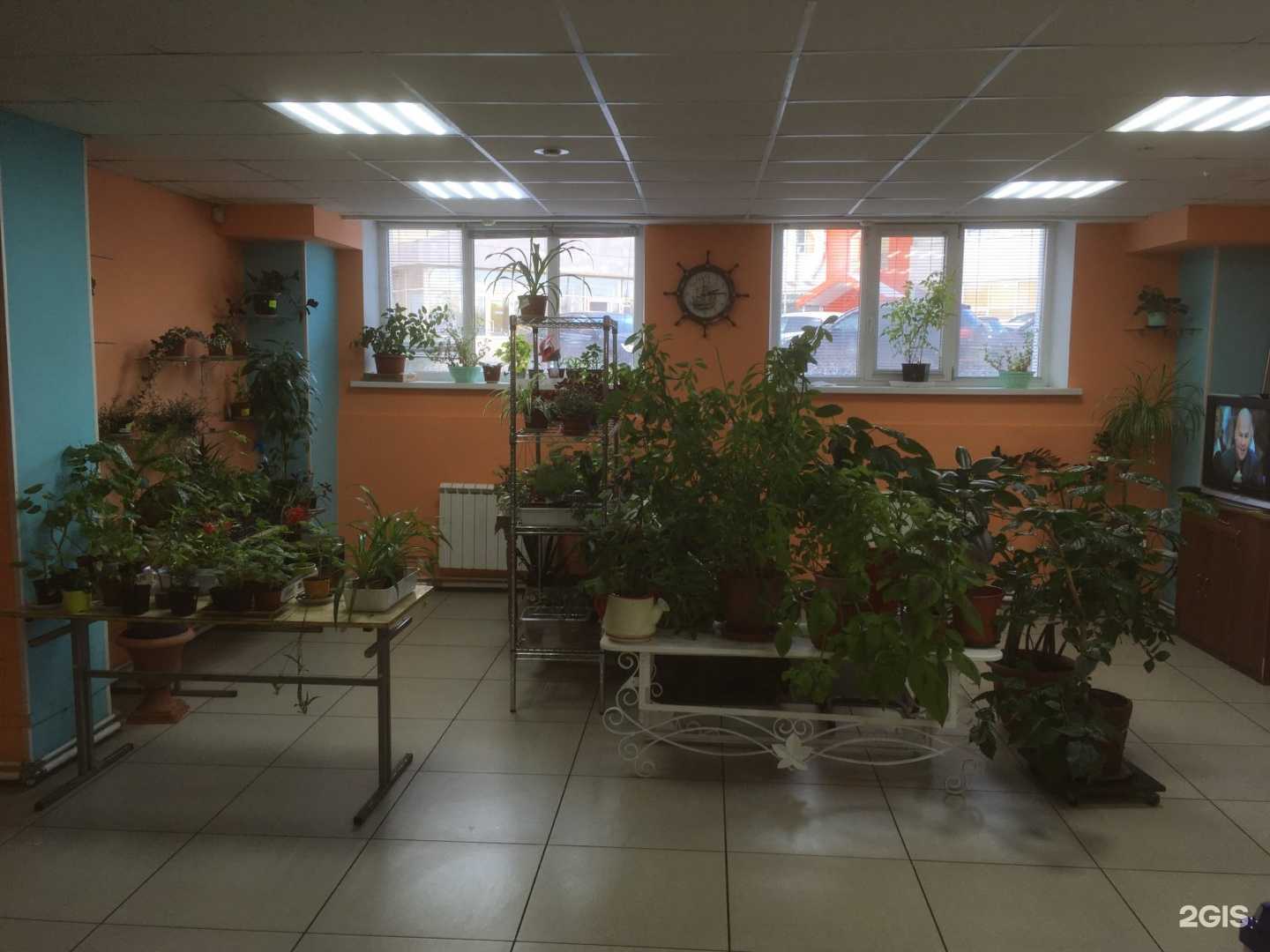 Отзывы на компанию Рыба-мясо в г. Сургут c фото