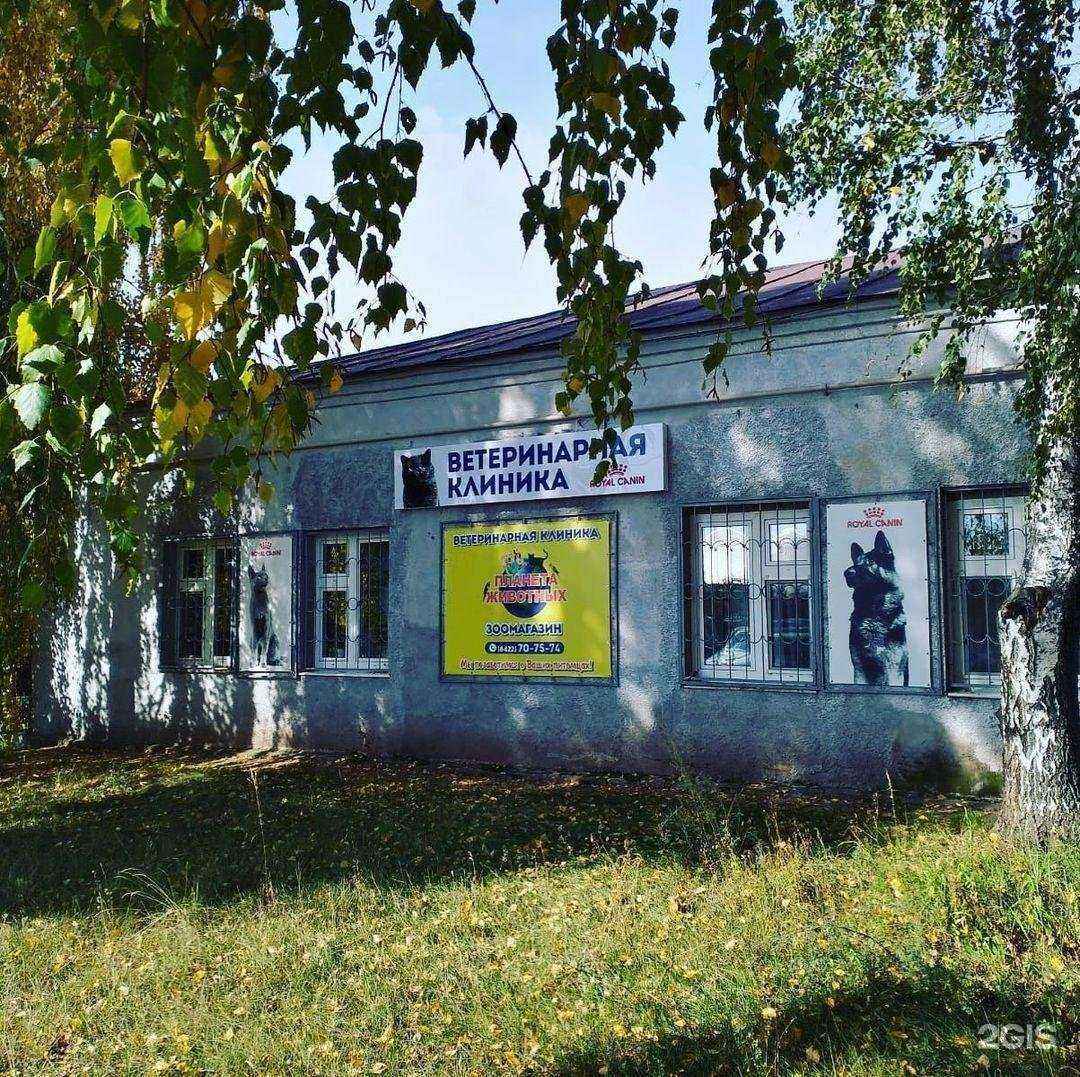 Отзывы на компанию Планета животных в г. Ульяновск c фото