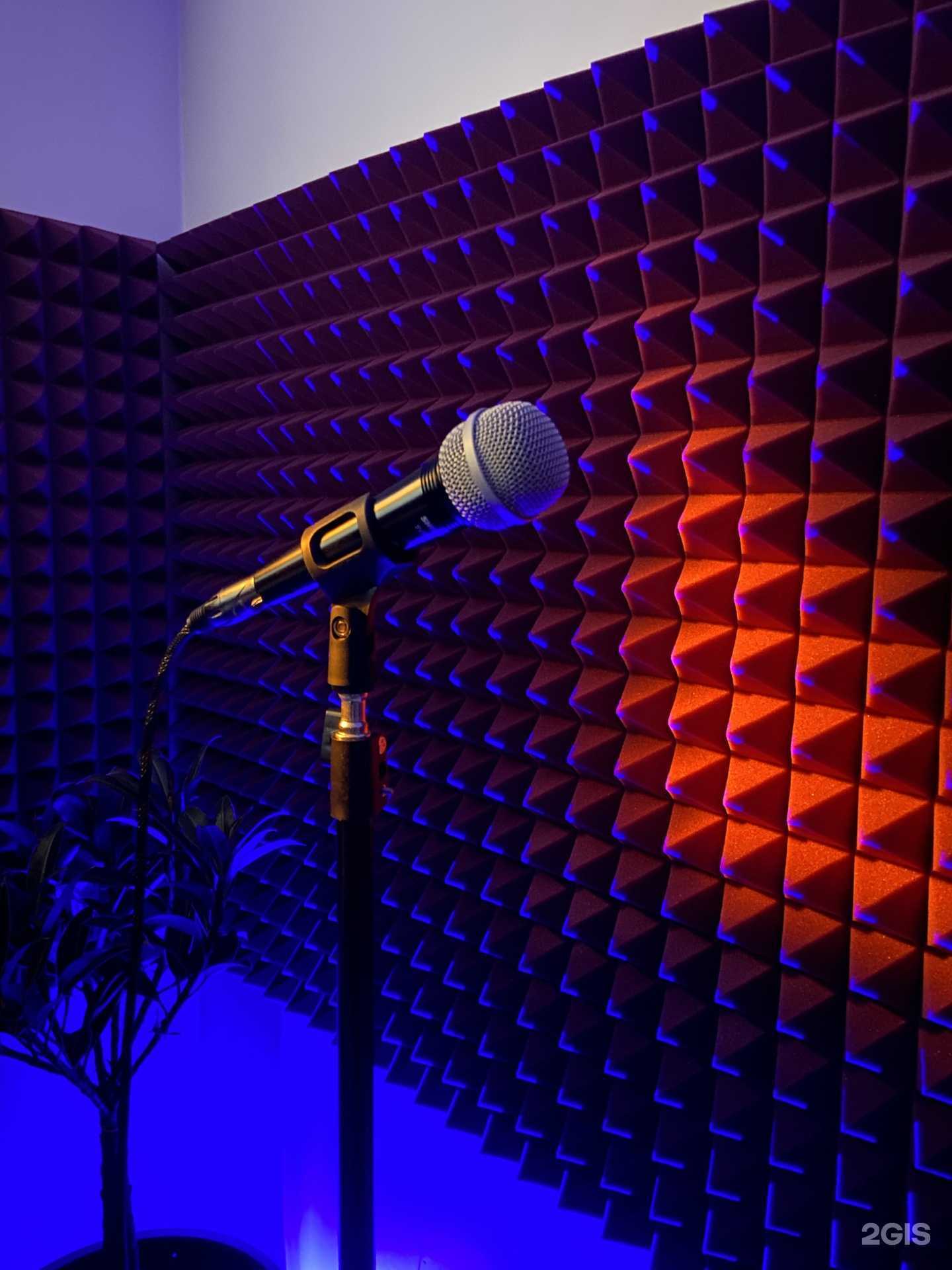 Отзывы на компанию Your voice в г. Краснодар c фото