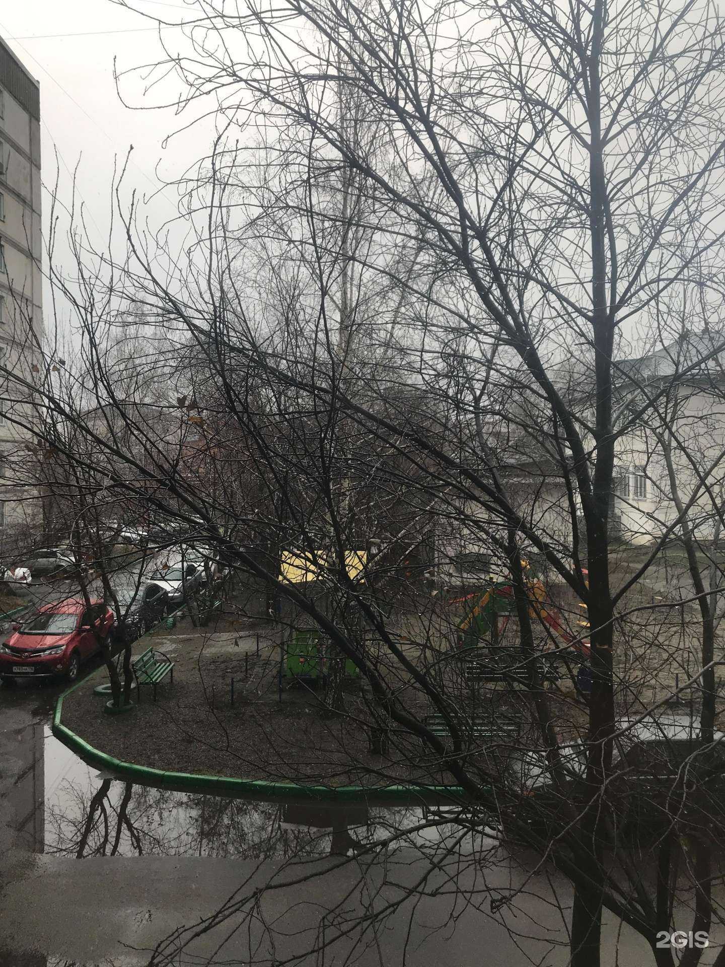 Отзывы на компанию INVITRO в Бийске c фото - фотография 2 из 2