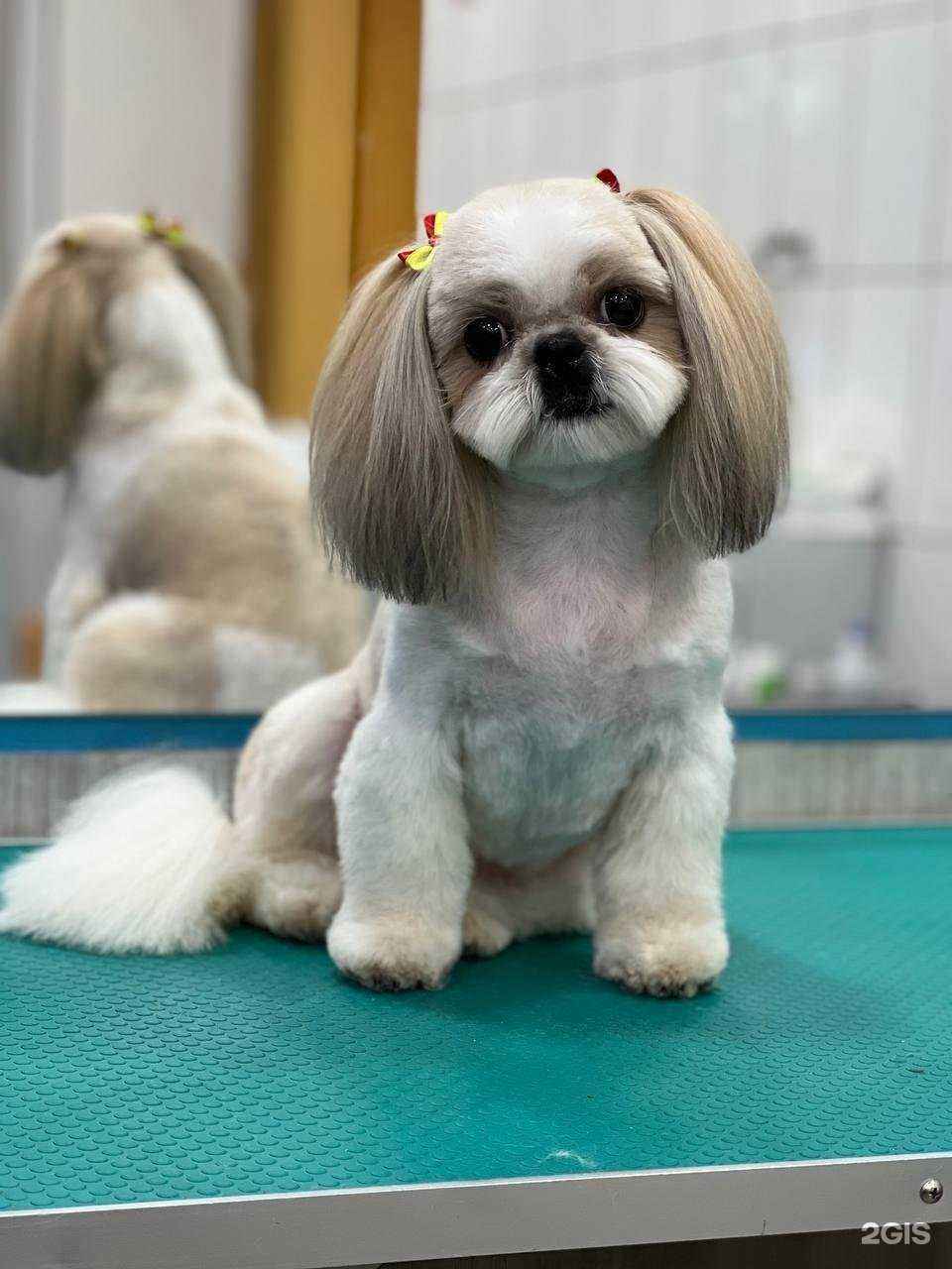 Отзывы на компанию Groom в г. Коммунарка c фото