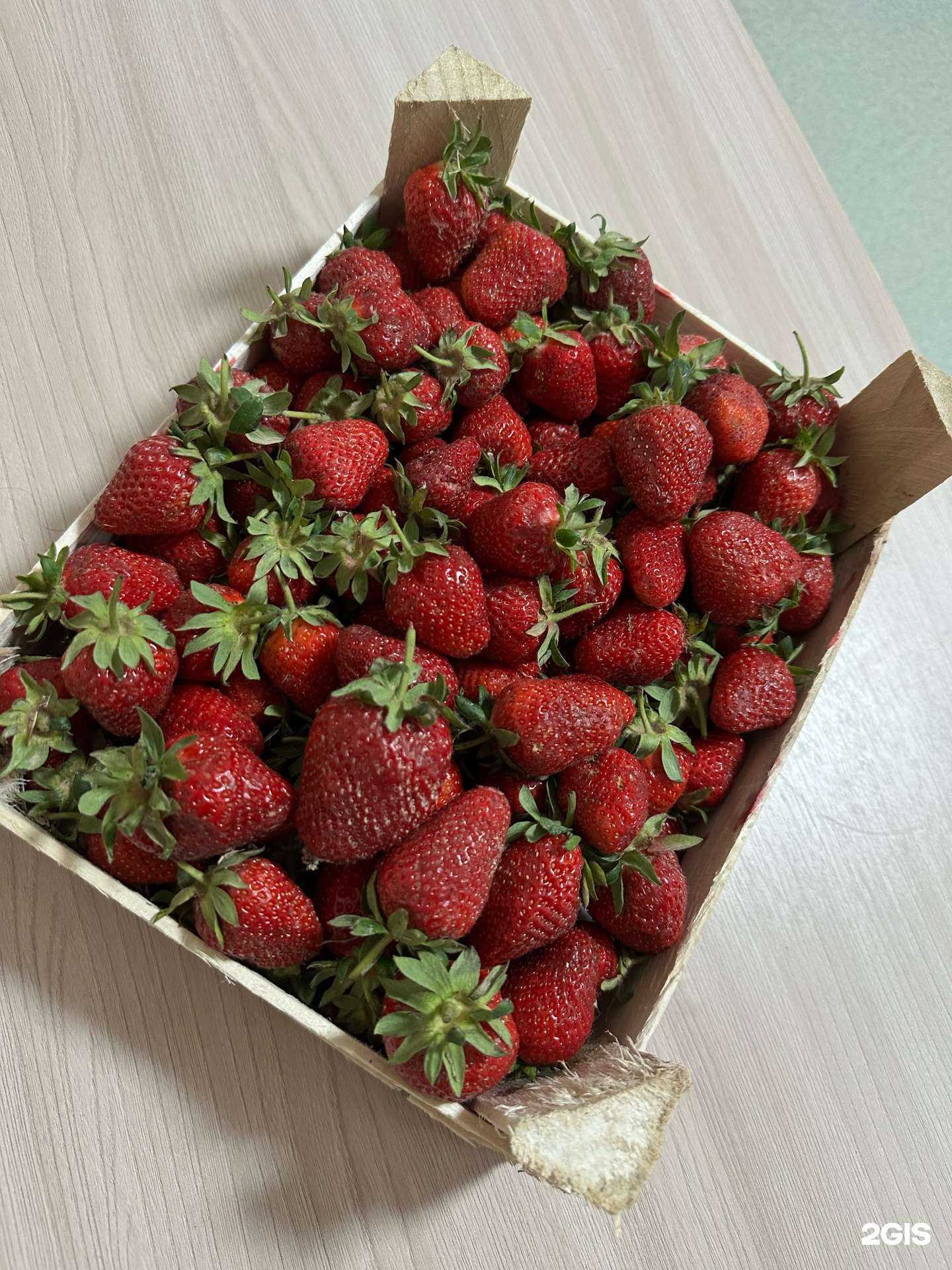 Отзывы на компанию Шеф, краба! в Магнитогорске c фото