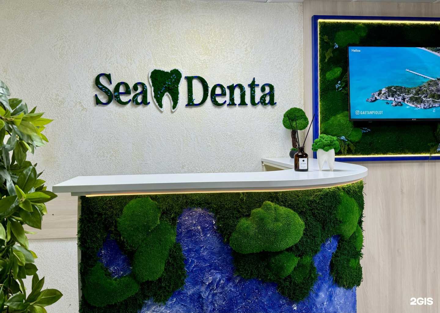 Отзывы на компанию SeaDenta в Сочи c фото