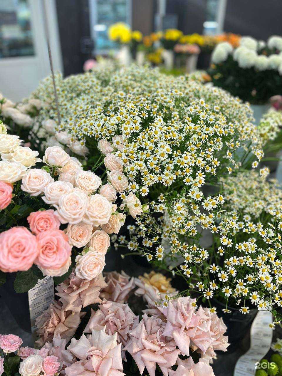 Отзывы на компанию Бизнес Букет на Нарымской в Новосибирске c фото
