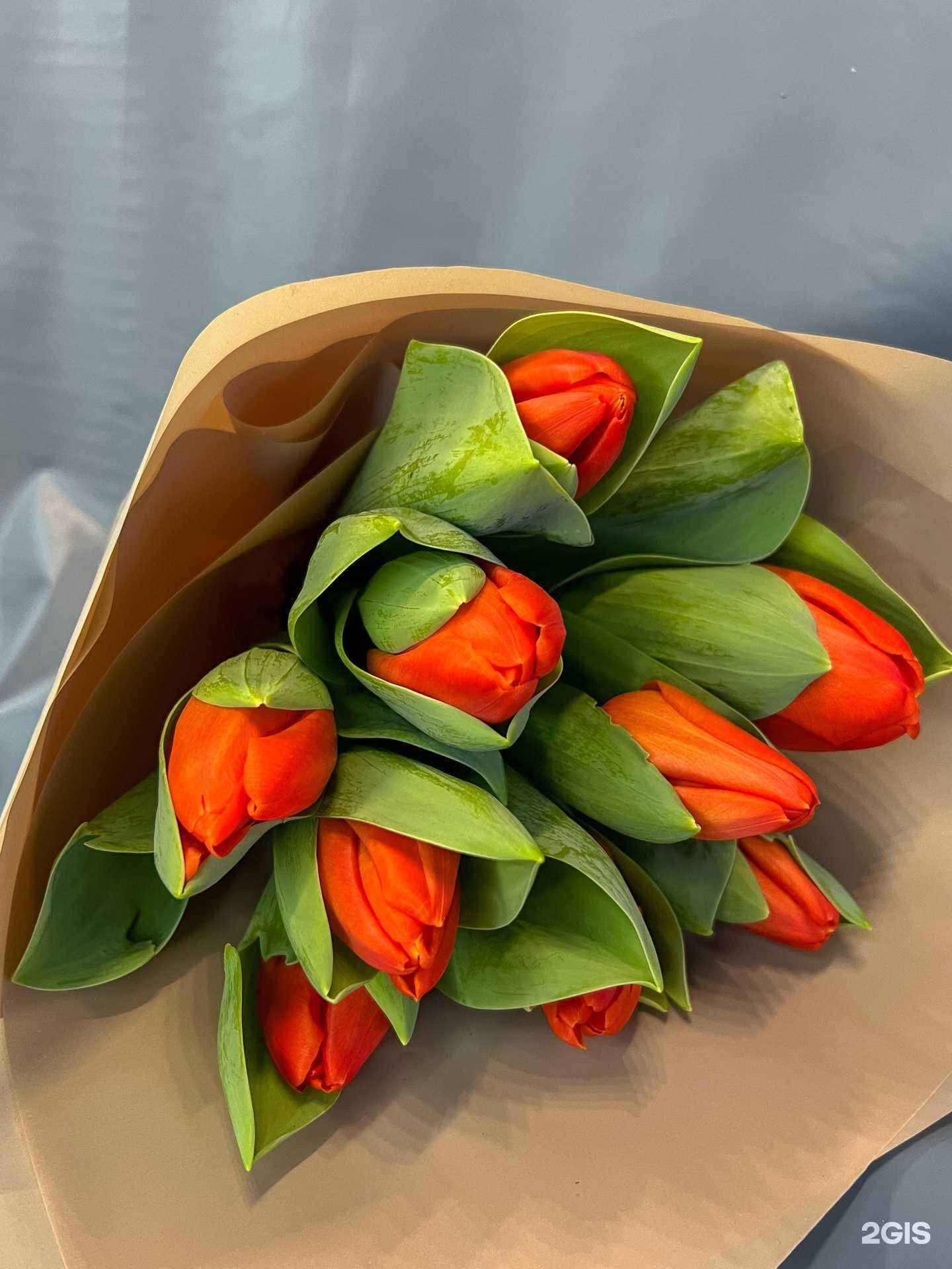 Отзывы на компанию Дом цветов в Казани c фото