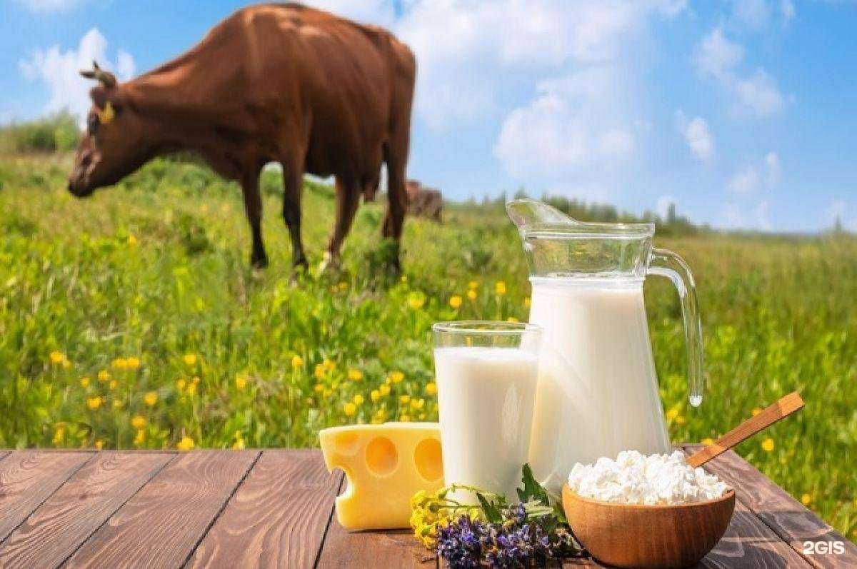 Отзывы на компанию Магазин полуфабрикатов из Башкирии в Уфе c фото