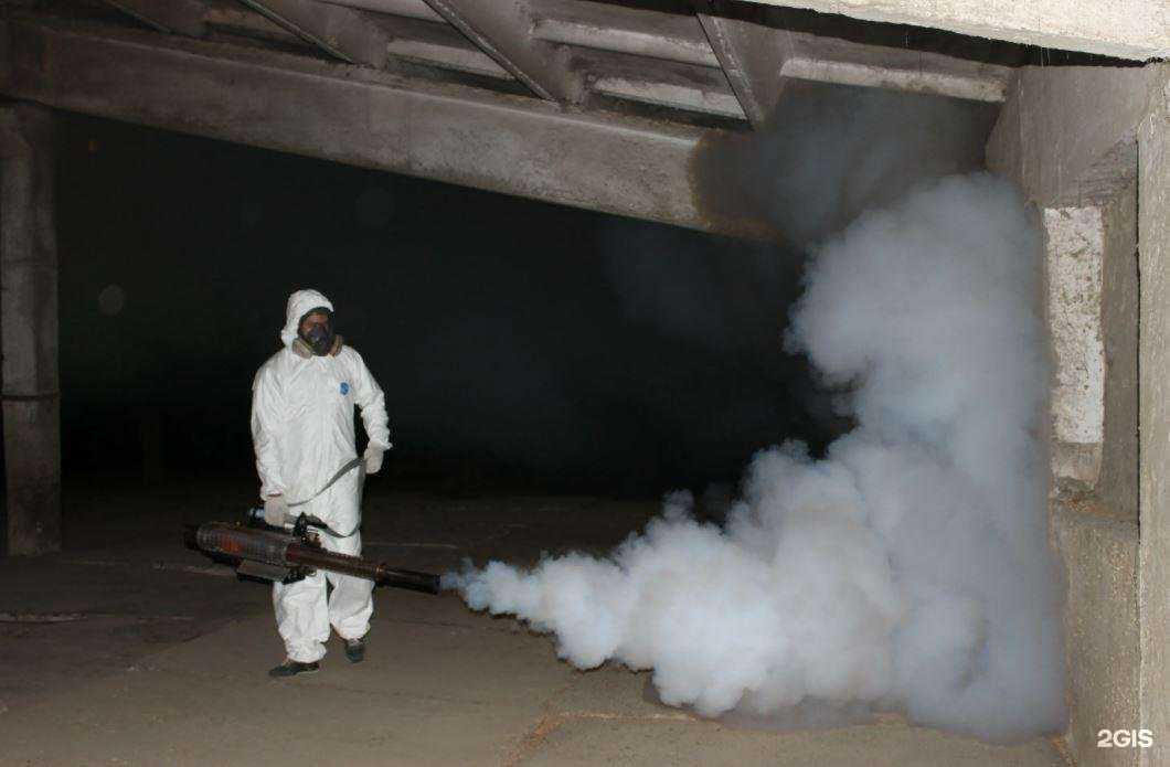 Отзывы на компанию Служба дезинфекции в Красноярске c фото